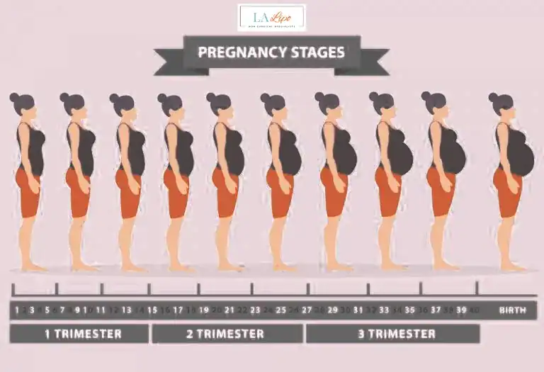 First Trimester (Weeks 1–12): Early Changes You Might Not Notice Stanford-le-Hope